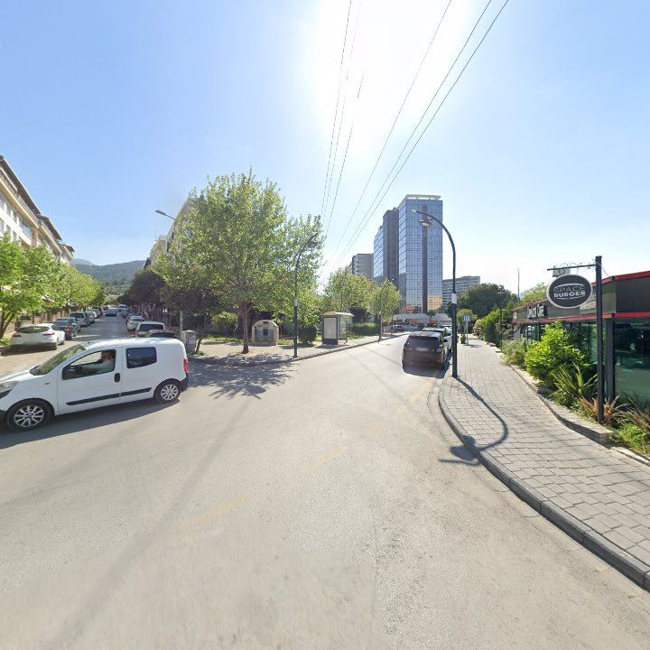 Fotoğraf 11