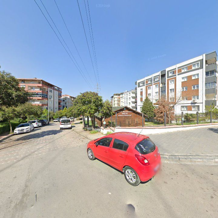 Fotoğraf 9