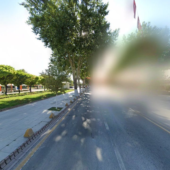 Fotoğraf 13