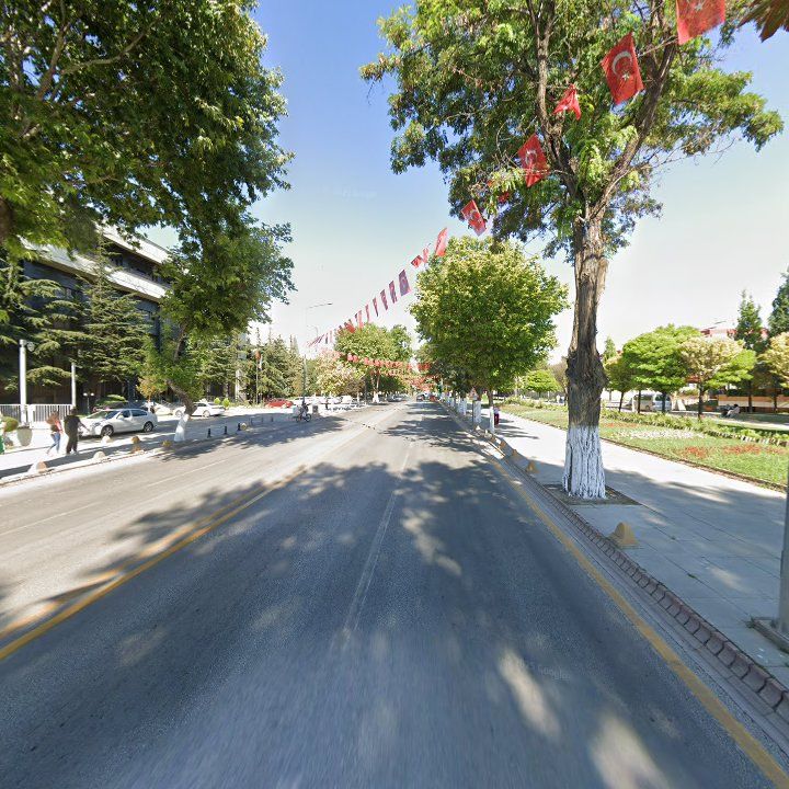 Fotoğraf 11