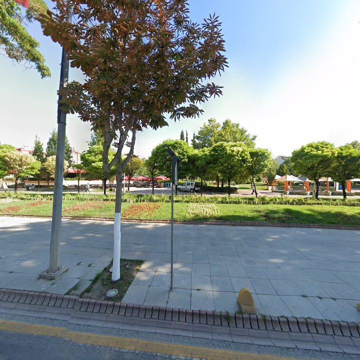 Fotoğraf 12