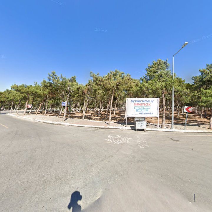 Fotoğraf 9