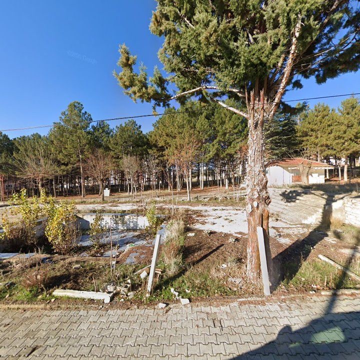 Fotoğraf 8