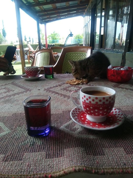 Campus Cafe