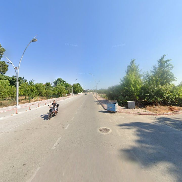 Fotoğraf 6