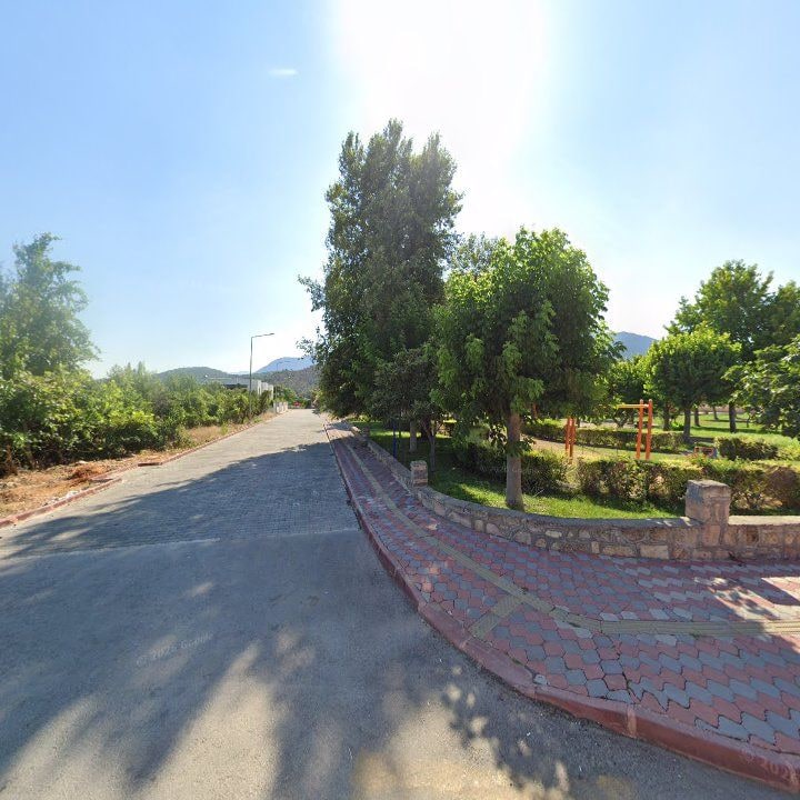 Fotoğraf 7