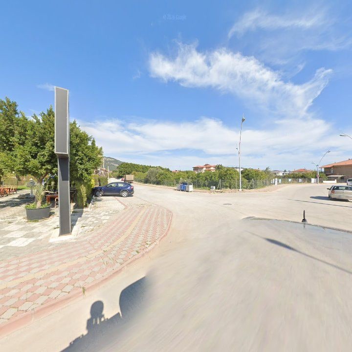Fotoğraf 7