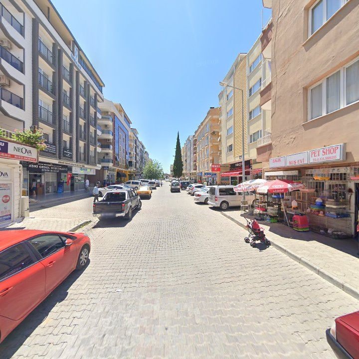 Fotoğraf 3