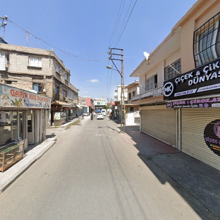 Fotoğraf 6