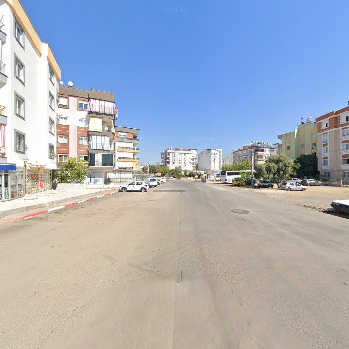 Fotoğraf 8