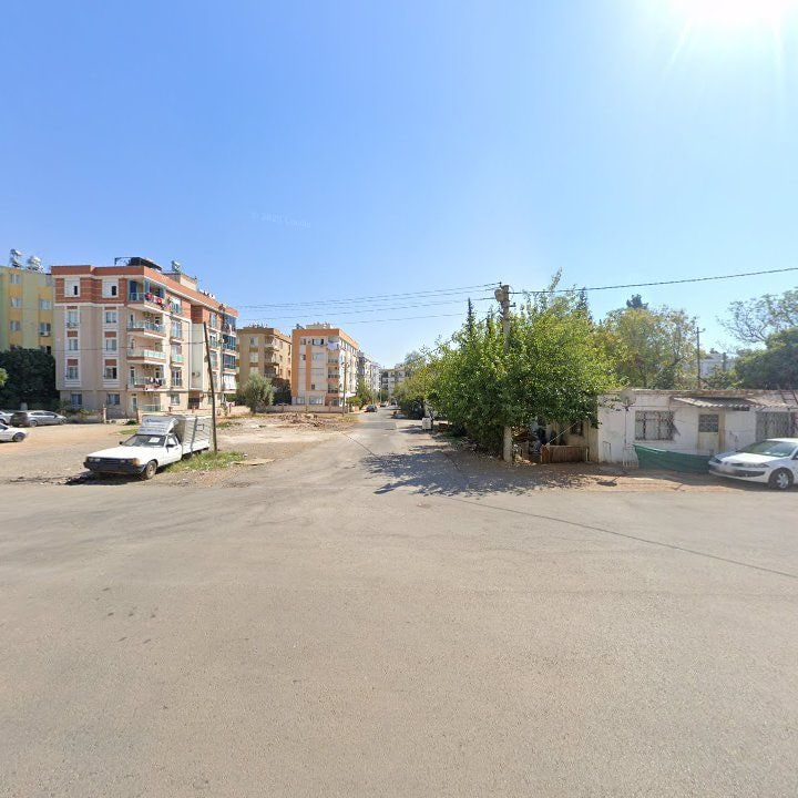 Fotoğraf 9