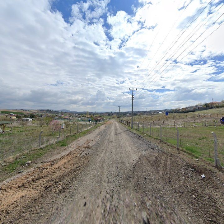 Fotoğraf 6