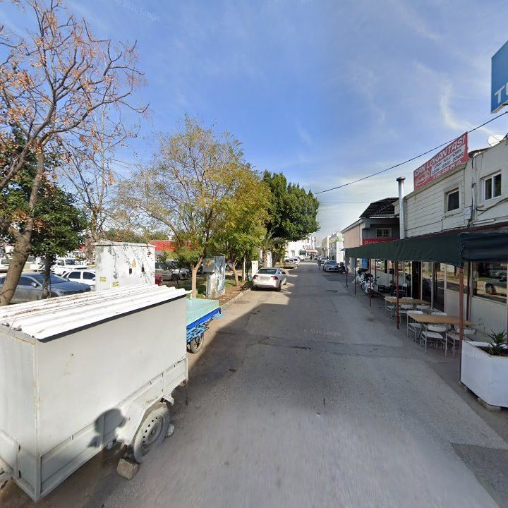 Fotoğraf 8