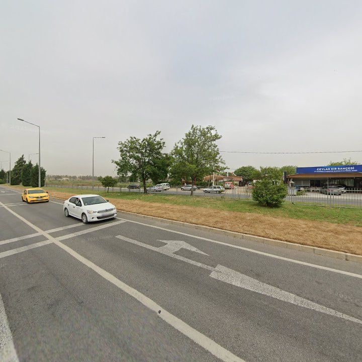 Fotoğraf 12