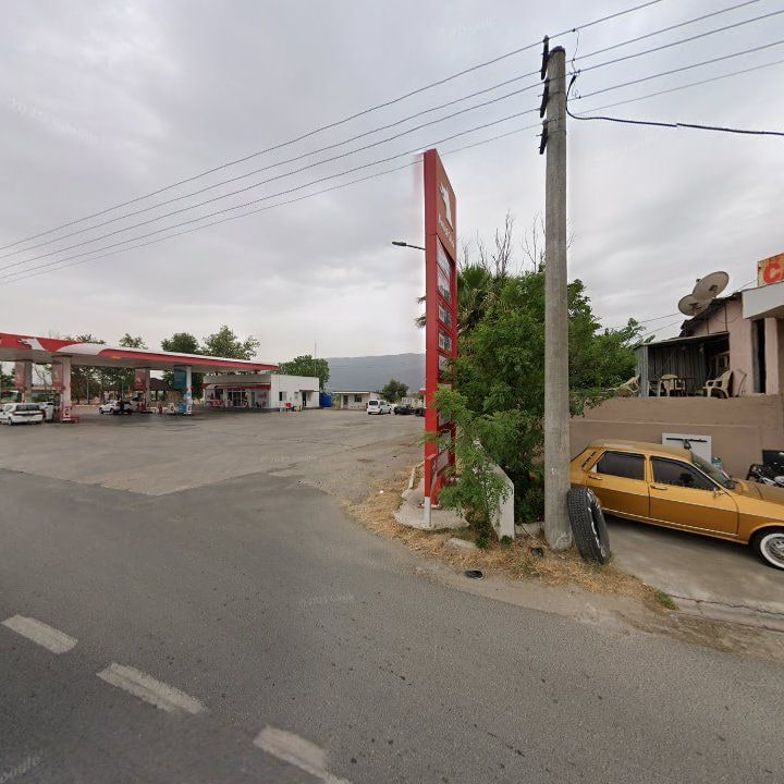 Fotoğraf 10