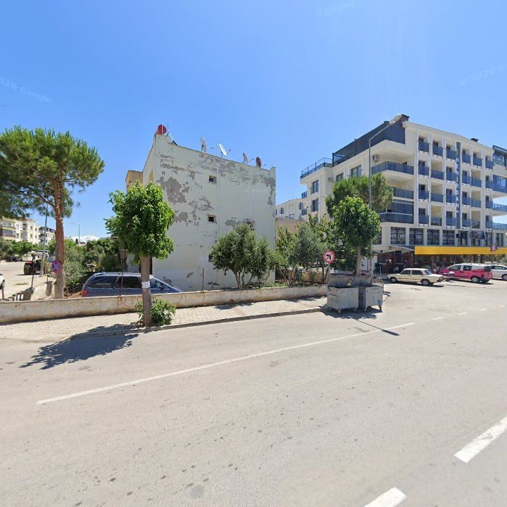 Fotoğraf 8