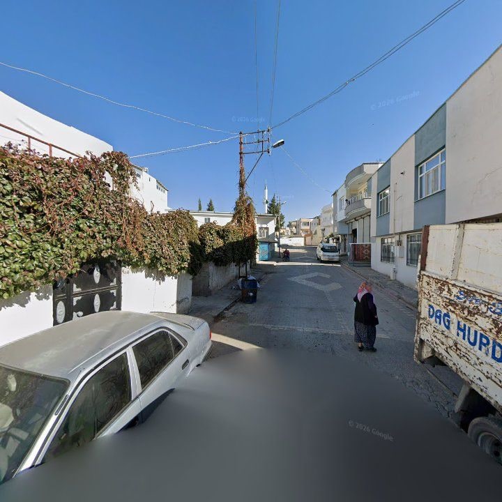 Fotoğraf 3