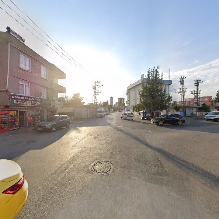 Fotoğraf 7