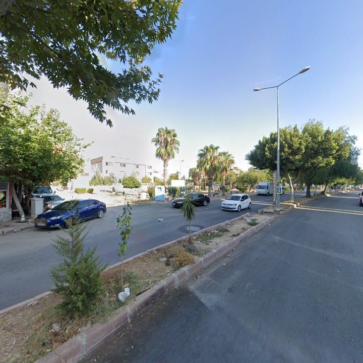 Fotoğraf 5