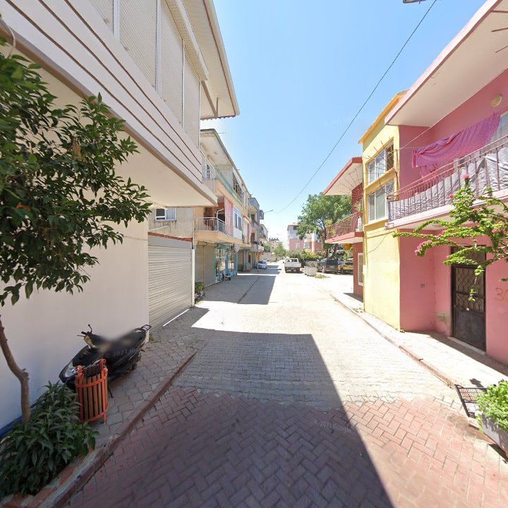 Fotoğraf 11