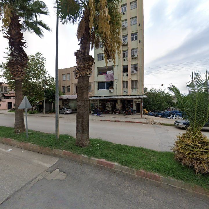 Fotoğraf 6