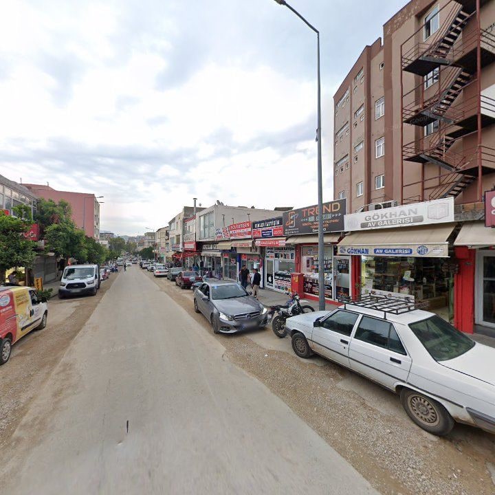 Fotoğraf 7