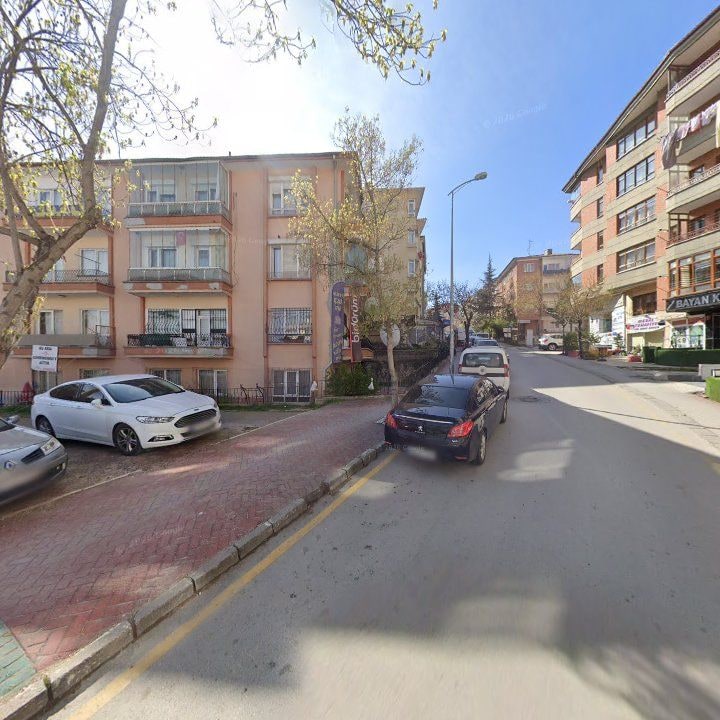 Fotoğraf 10