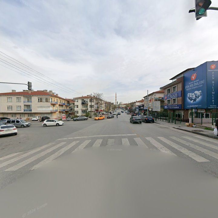 Fotoğraf 10