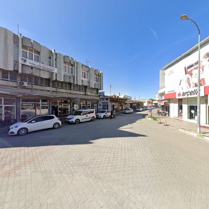 Fotoğraf 6