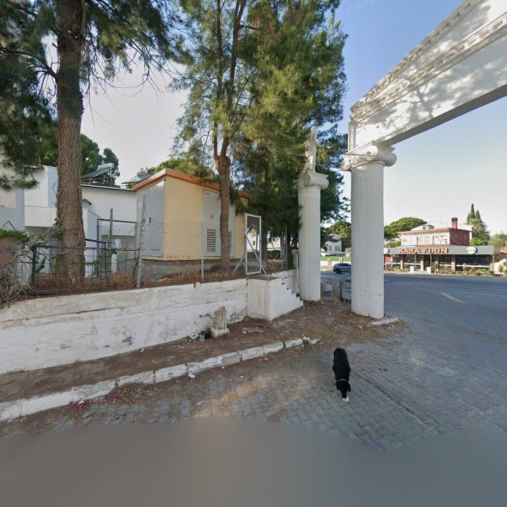 Fotoğraf 8