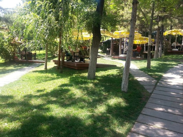 Fotoğraf 8