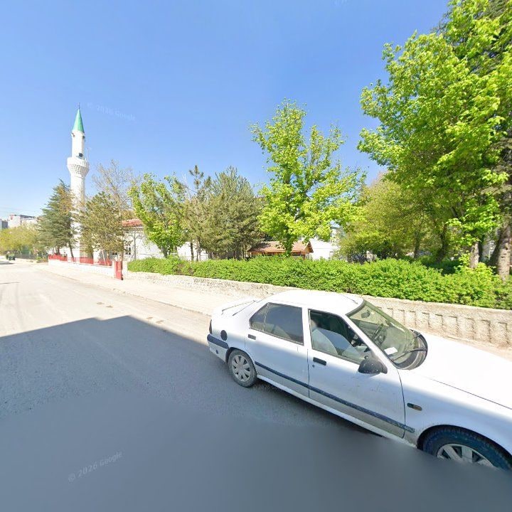 Fotoğraf 6