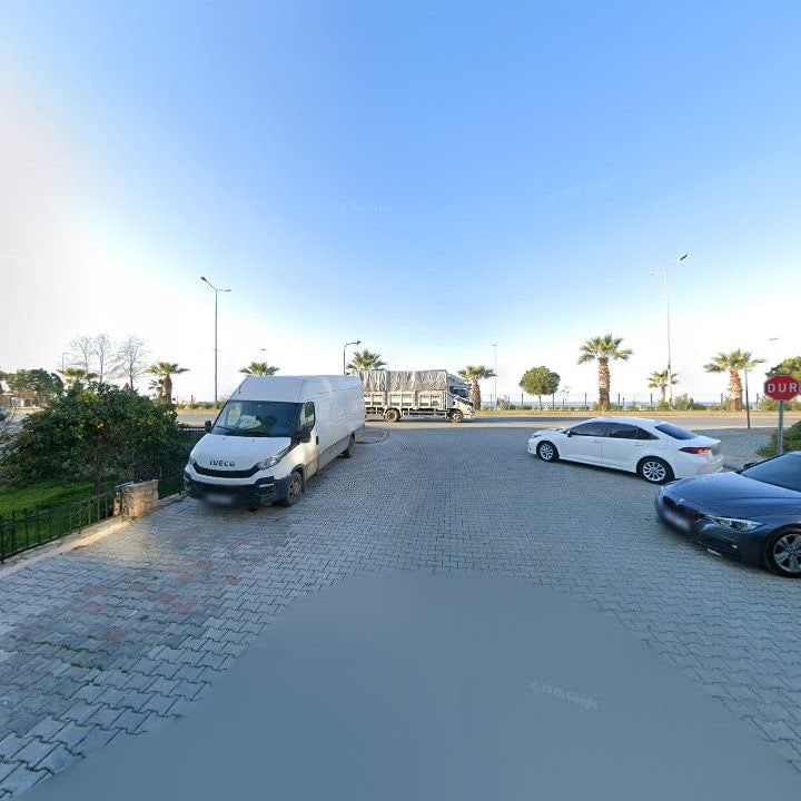 Fotoğraf 7