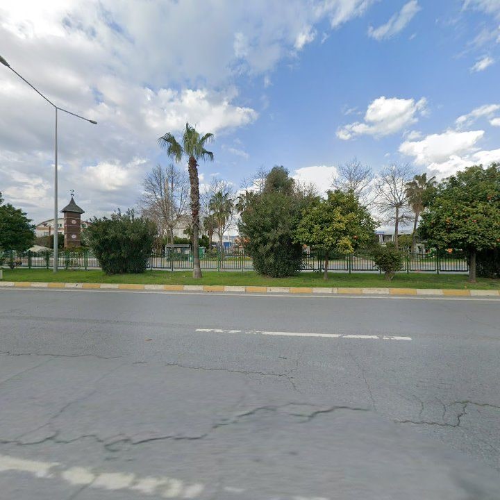 Fotoğraf 9