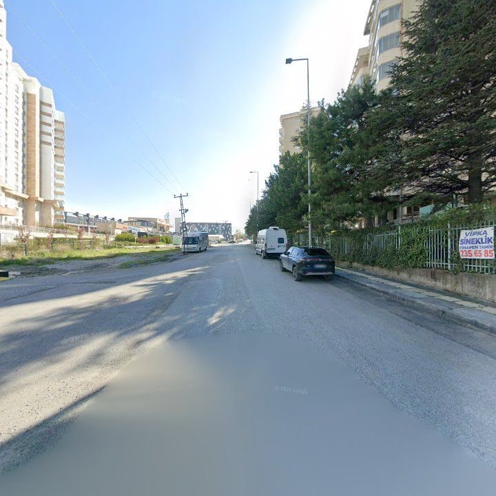 Fotoğraf 16