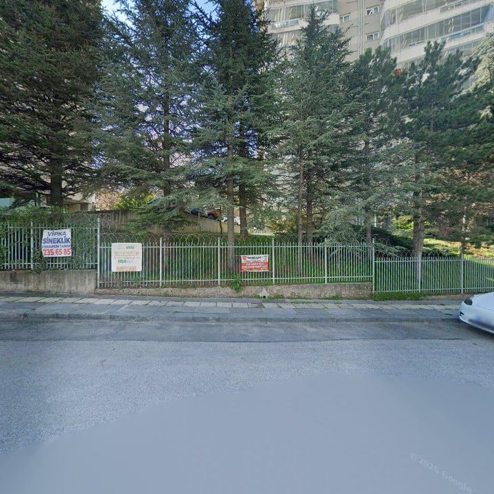 Fotoğraf 17