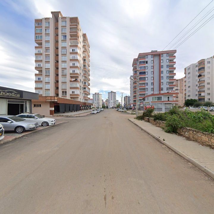 Fotoğraf 6