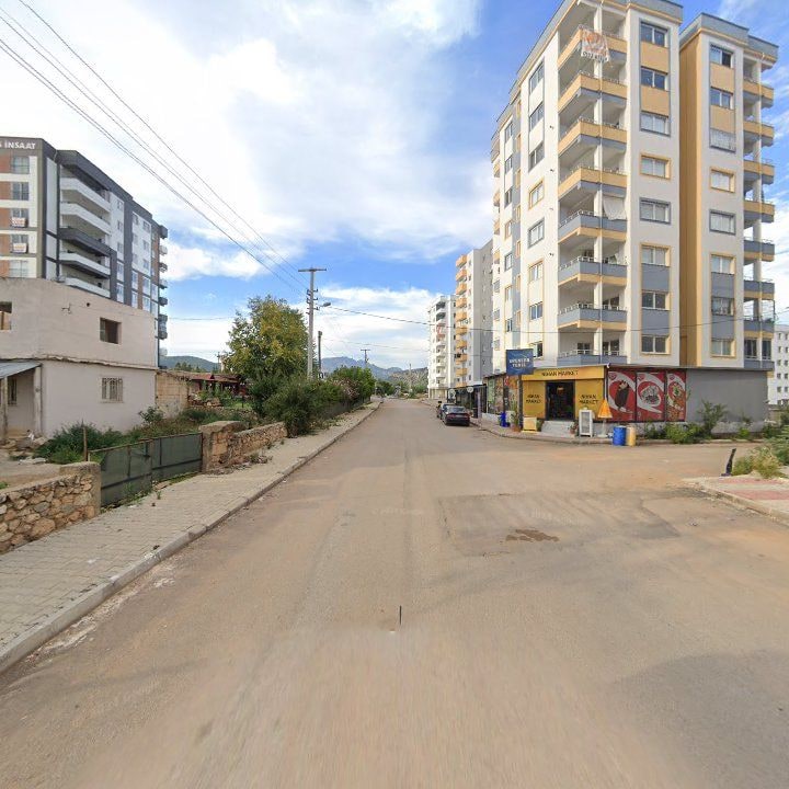 Fotoğraf 8