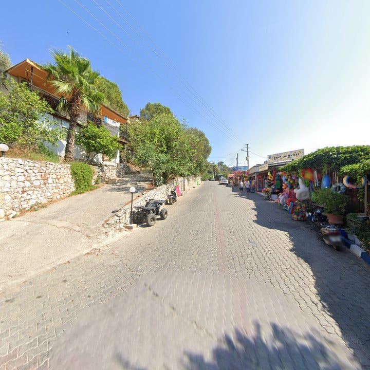 Fotoğraf 11