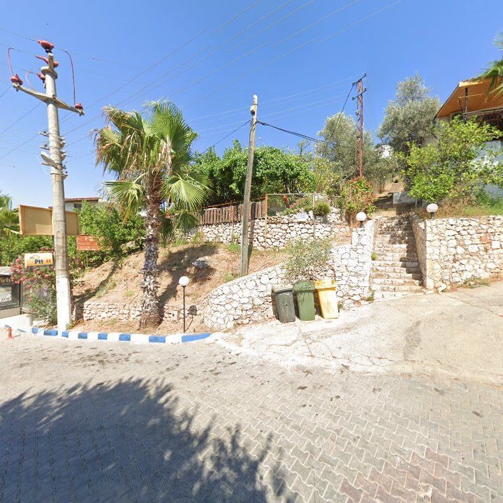 Fotoğraf 10