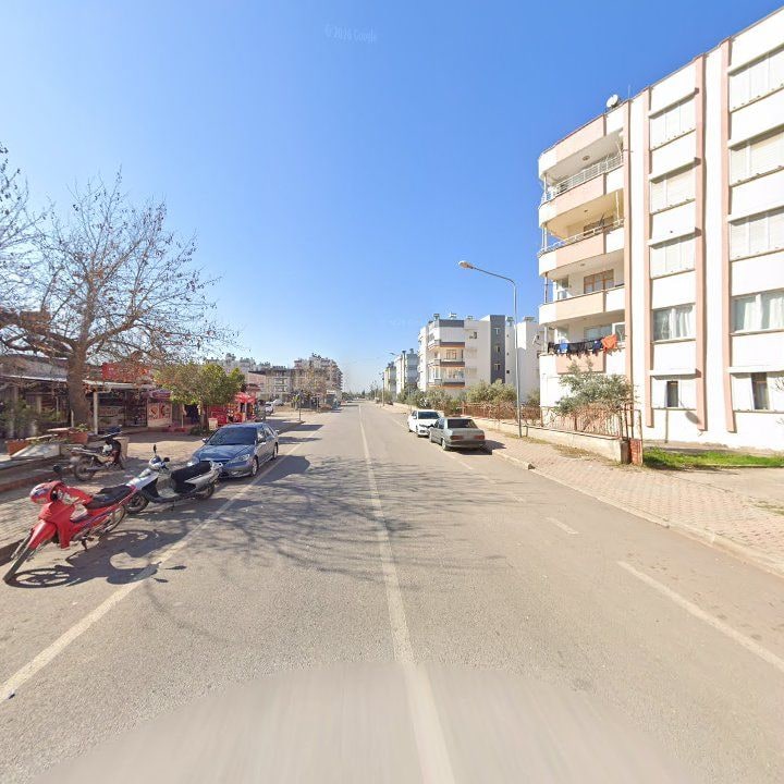 Fotoğraf 6