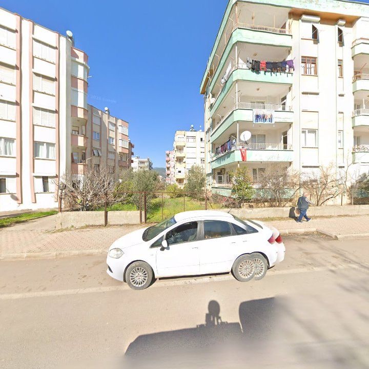Fotoğraf 7
