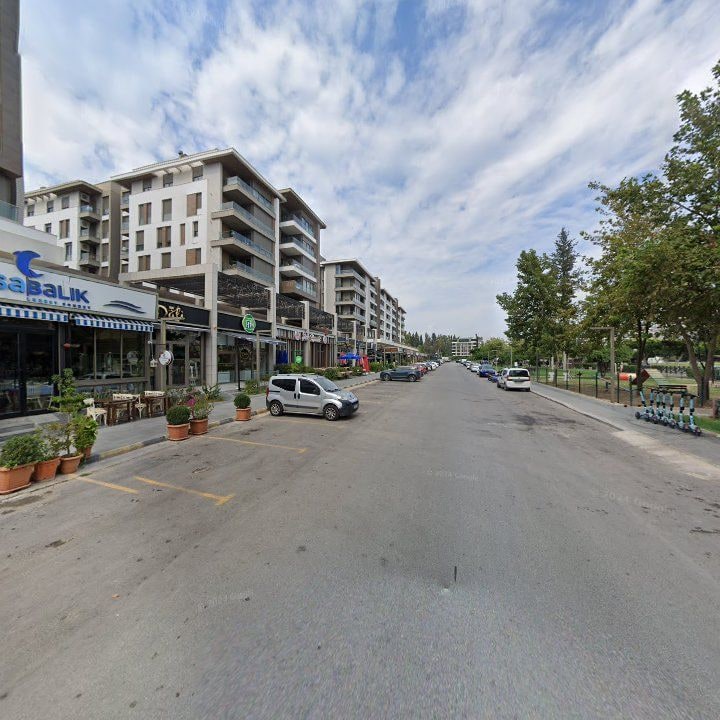 Fotoğraf 7
