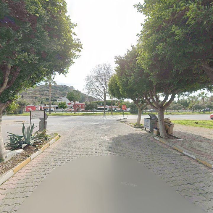 Fotoğraf 7