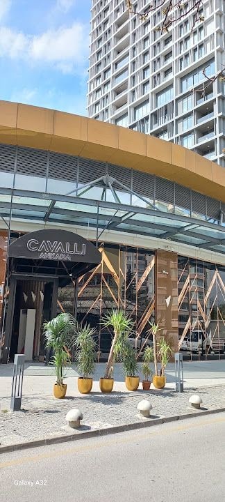 Cavalli Ankara