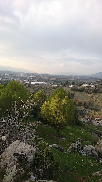 Çay Bahçesi