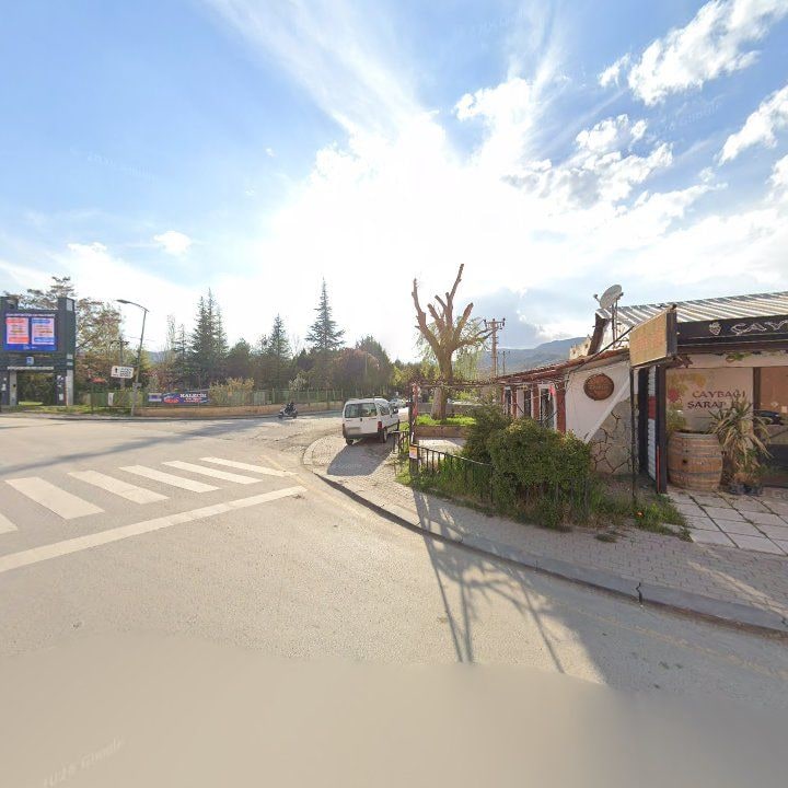 Fotoğraf 9
