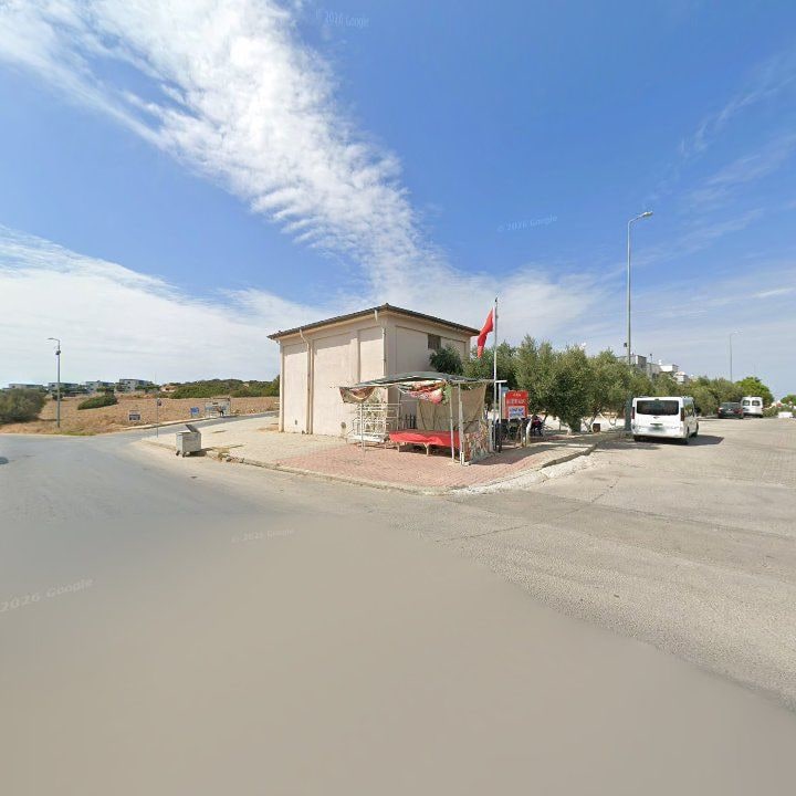 Fotoğraf 9