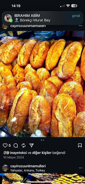 Çayirözü Unlu Mamülleri Ltd Şti