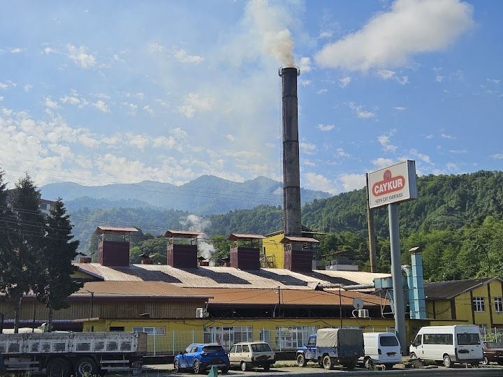 Çaykur Hopa Çay Fabrikasi